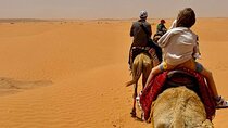 Marrakesh Erg Chigaga Camel Tour Experience