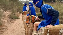 Camel Riding in Agadir with Traditional Outfits and Turbans 