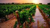 Ribera del Duero and La Rioja Wine and Nature Tour from Madrid