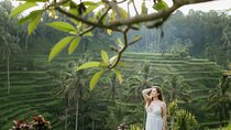 Ubud: Best of Ubud Private Day Tour with Local Guide