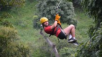 9 Cable Private Zipline Tour In Papagayo By Costa India