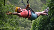 9 Cable Private Zipline Tour In Papagayo By Costa India