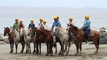 Private Horseback Riding Tour – Farm or Beach by Costa India