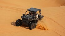 Dubai: Red Dunes Safari with Dune Buggy, Sandboard & Camel