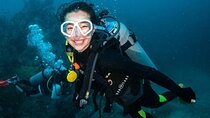 Tiran Island Snorkeling Boat Trip & 2 Dives - Sharm El Sheikh