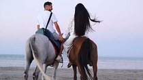 Hurghada 2-Hour Sea & Desert Horseback Riding Adventure