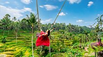 Jungle Swing, Monkey Forest, Rice Terrace and Temple Tour in Bali