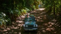 Half Day Tour OF Jeep Wrangler Rubicon 4x4 - This