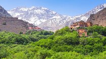 Marrakech: Private Atlas Mountains Day Trip W Lunch & Camel Ride