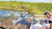 Everglades Airboat Ride and Nature Walk Private Tour
