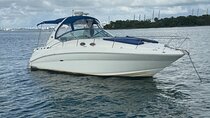Private Yacht Rental 35ft in Miami for Up to 12 People