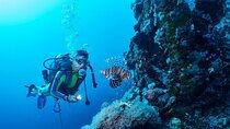Ras Mohamed & White Island Snorkel & Diving Trip- Sharm El Shiekh