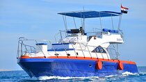 Private Boat to Dolphin House, Snorkeling and Lunch :Hurghada