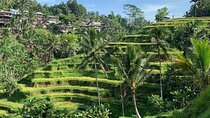Ubud Tour Sacred Temple Waterfall Rice Terrace and Art Village