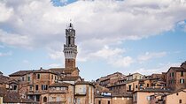 Siena San Gimignano Day Tour and Wine Tasting