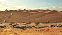 Dubai Evening Desert Safari with Dune Bashing BBQ Dinner and Show
