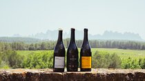 Montserrat & Boutique Winery with Catalan Brunch | Private Tour