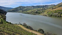 Transfer between Porto and Douro Wine Region or Reverse