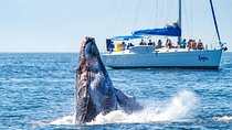 Puerto Vallarta Luxury Sailing with Premium Open bar & lunch