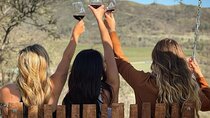 6-Hour Private Limousine Wine Country Tour of Napa or Sonoma