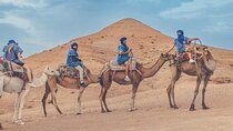 3 days Desert Group Tour from Marrakech