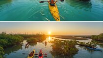 4 Hours Kayaking Adventure in Qatar Purple Island Mangroves 