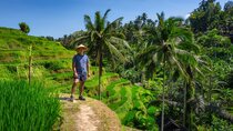 Private Full Day Tour in Ubud 