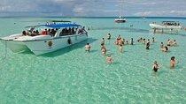 Saona Island from Punta Cana with Transportation and Lunch Included