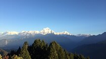 Poon Hill Ghorepani Trek