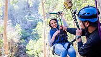 Cape Town Zipline Adventure (Hotel Pickup included)