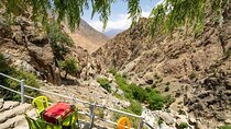 Enjoy an Authentic Ourika Valley Excursion with a Local Guide 