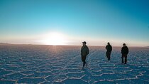 Isla Incahuasi and Uyuni Salt Flats Full-Day All-Inclusive Tour
