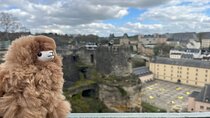 Luxembourg Private Guided Day Tour from Brussels