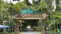 Full Day Sepilok Orangutan and Rainforest Discovery Centre Tour