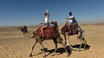 One hour Camel Rides Through the Enchanting Desert - Hurghada