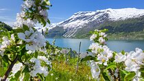 Scenic Hardanger Fjord with Waterfalls, Farm Garden & Lunch 