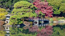 Shinjuku Gyoen National Garden 2 Hour Walking Tour