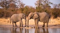 Hwange National Park 3 Days Package