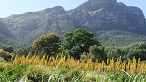 Cape Town Kirstenbosch Botanical Garden Entry Tickets