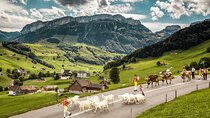 Appenzell Alps Day Trip from Zurich – Farm Life & Cheese Tasting