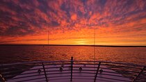 Sunset Cruise Fort Lauderdale – Premium Experience-Skyline Views