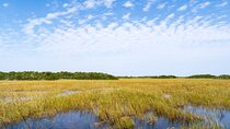 Everglades National Park Private Car Tour