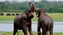 Sri Lanka 10 Days Private Tour Package with Hotels And Meals