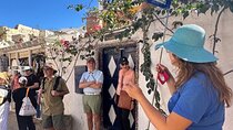 Real Santorini: Full-Day Private Tour