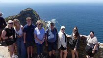Private Cape of Good Hope Full Day tour