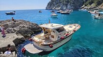 From Sorrento or Positano: Private Capri Tour with Fratelli Aprea