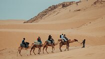 Agadir Desert Tour: Quad, Sandboarding, Camel Ride + Photography