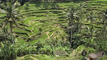 Private Ubud Tour Temples Rice Terraces and Waterfalls