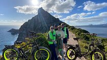 Cape Point E Bike Tour Explore Nature and Culture