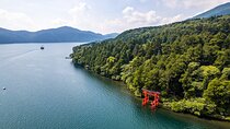 Private Hakone Day Tour from Tokyo Scenic and Mystical Experience